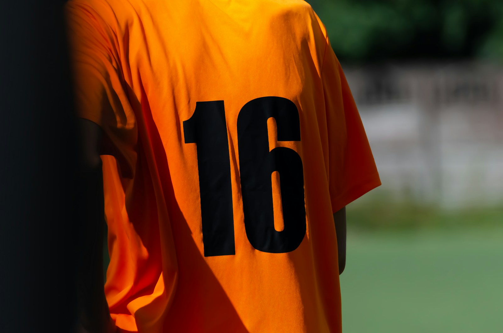customizable player and coach profiles - Klubportal customizable player and coach profiles